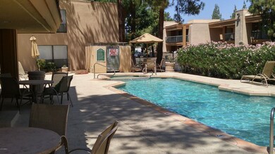 Phoenician pic1
