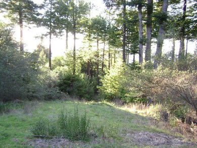 DSC08474