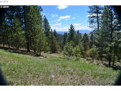 31595 Dixie Creek Rd, Prairie City, OR 97869 - photo 5