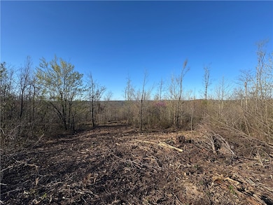 Tract 2 Nc 8374 Rd, Jasper, AR 72641 - photo 4