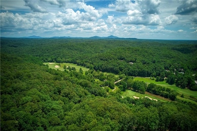 1040 Bear Paw Ridge, Dahlonega, GA 30533 - photo 7