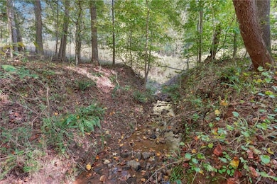 View of nature