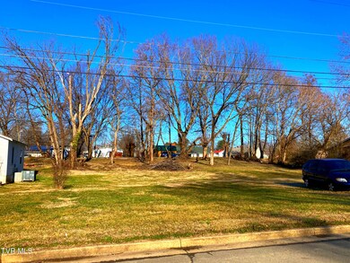 1411 E Millard St, Johnson City, TN 37601 - photo 4