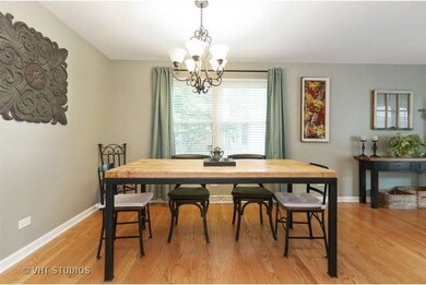 1641 Swallow St, Naperville, IL 60565 - photo 4