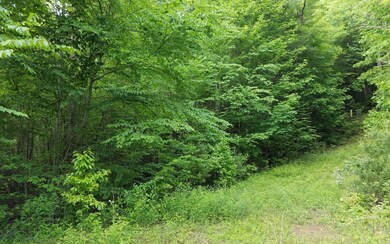 Additional View