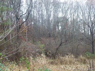 Another view of building site in wooded area