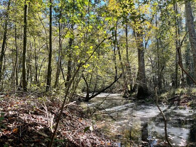 000 Hwy 35, Collins, MS 39428 - photo 7