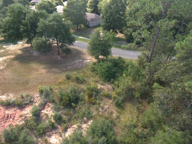 DJI_0024