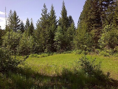 Mountain Meadow