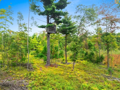 0 County Road B unit 50318666, Marinette, WI - photo 3