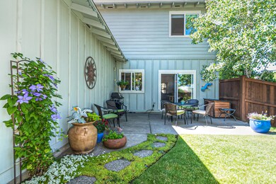 5_backyard