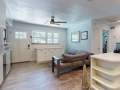 811 E 10th Ave, New Smyrna Beach, FL 32169 - photo 3