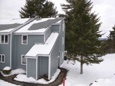 106 Mountain River Rd E unit 29, Thornton, NH 03285 - photo 2