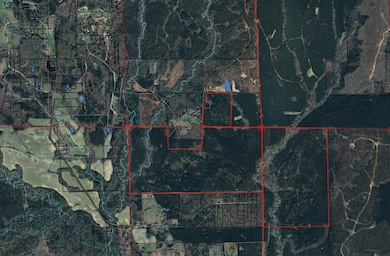 TBD Hooks Rd, Pittsview, AL 36871 - photo 2