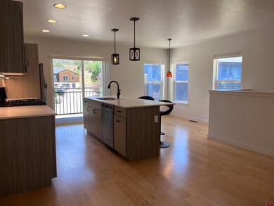 180 Metz Ln unit 1307, Durango, CO 81301 - photo 4