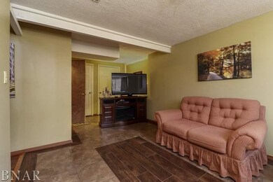 8075 N 2000 East Rd, Downs, IL 61736 - photo 3