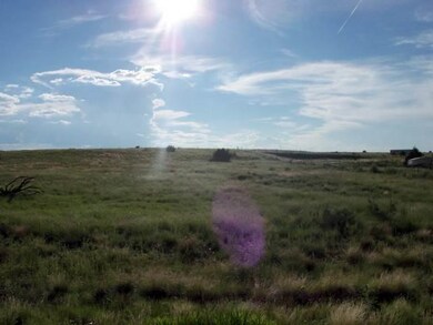 660 S Foothills Blvd unit 680 S. Foothills Blv, Taylor, AZ 85939 - photo 2