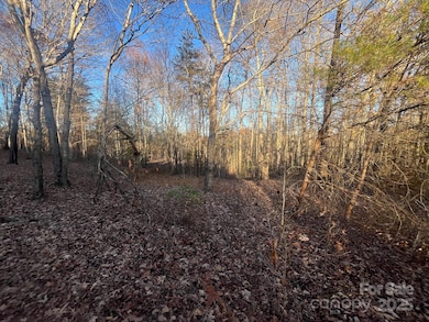 000000 Pinnacle Church Rd, Nebo, NC 28761 - photo 4