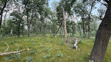 W2047 County Rd N, Lyndon Station, WI 53944 - photo 3