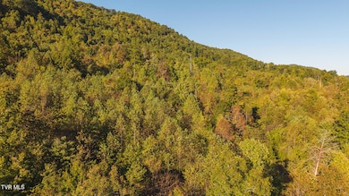 0 Black Valley Rd unit 9988388, Sneedville, TN 37869 - photo 4