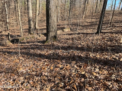 2311 Pocahontas Cove, Hernando, MS 38632 - photo 3