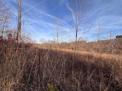 TBD Barbour County Hwy, Philippi, WV 26416 - photo 5