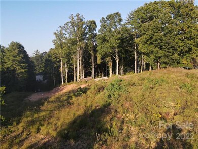 999999 Alexander Rd, Leicester, NC 28748 - photo 6