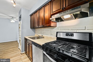 Chestnut Grove Condominiums unit 343, Reston, VA 20190 - photo 6