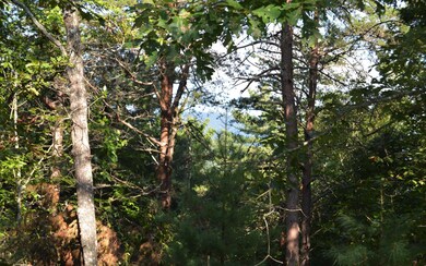 Additional View