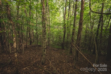 00 Johnson Ridge Rd, Elkin, NC 28621 - photo 7