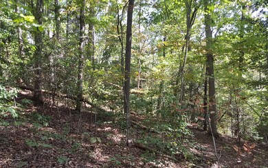 36&37 Stuart Highlands Dr, Mineral Bluff, GA 30559 - photo 3