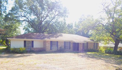 3800 Brookwood Dr, Tyler, TX 75701 - photo 2