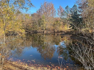 Water view featuring a forest