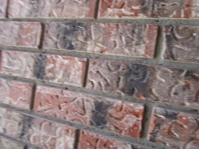 3003 15th St, Alamogordo, NM 88310 - photo 4