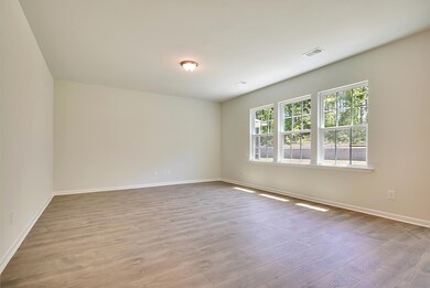 321 Blue Shadows Ct, Summerville, SC 29486 - photo 6