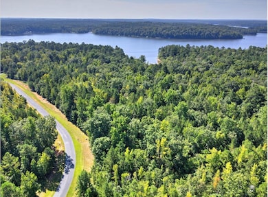 Screenshot 2024-05-23 at 11.06.33 AM