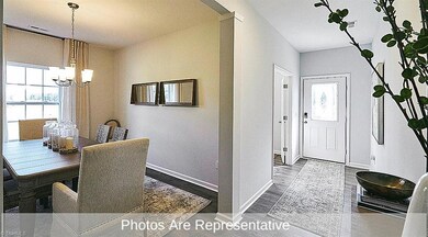 Photos are representative