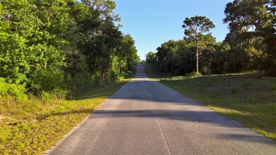 TBD SW Valencia Heights Ave, Dunnellon, FL 34431 - photo 4