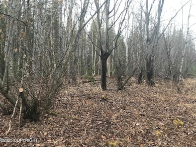 7963 S Lucindas Place, Wasilla, AK 99623 - photo 7