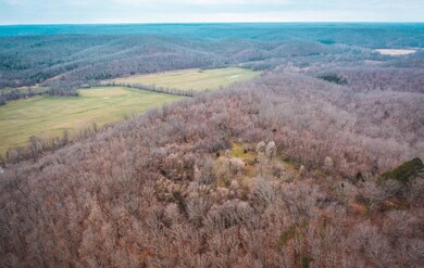 0000 County Road 7340, Newburg, MO 65550 - photo 7