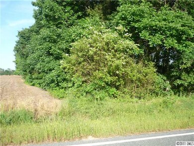 000 Lanesboro Rd, Marshville, NC 28103 - photo 2