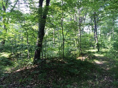 0 Cedar Rd, Lincoln Township, MI 48625 - photo 3