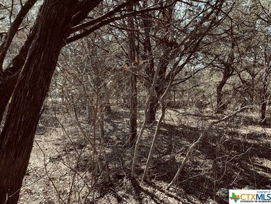 13184 Harbor Dr, Temple, TX 76502 - photo 5