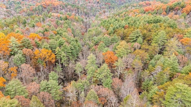 138 Bowater Rd, Tellico Plains, TN 37385 - photo 2