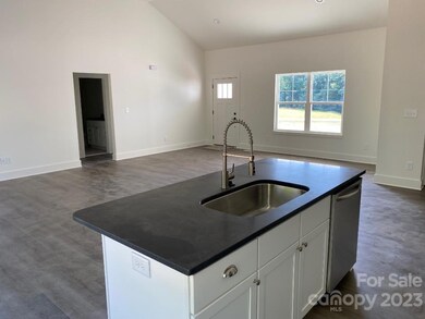 379 Moose Club Rd, Statesville, NC 28677 - photo 6