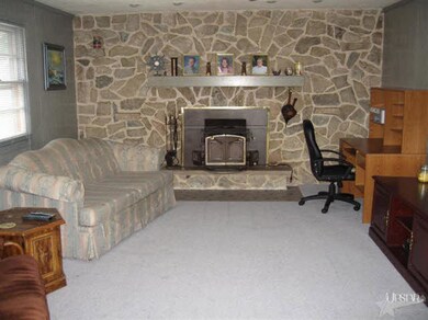 11007 Witmer Rd, Grabill, IN 46741 - photo 3