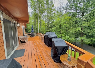 64 High Pond Rd, Grantham, NH 03753 - photo 3