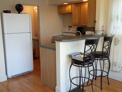 Kitchen. Small but functional!  Notice the lavette
