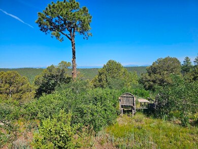 33021 Big Springs Overlook, Trinidad, CO 81082 - photo 3