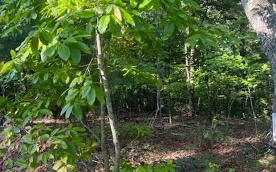 Additional View